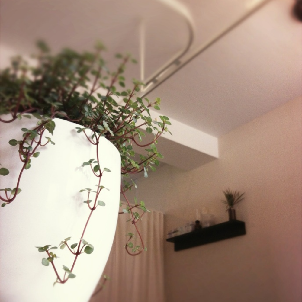 美容鍼灸サロン気月水