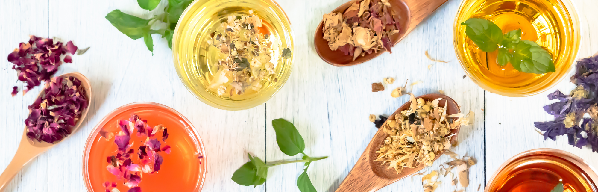 美容鍼灸サロン_ハーブについて